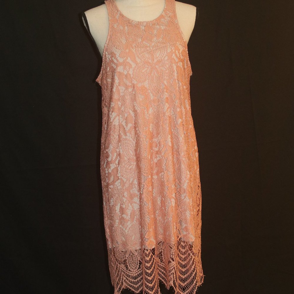 Brand New Express Lace Sheath Dress Size L